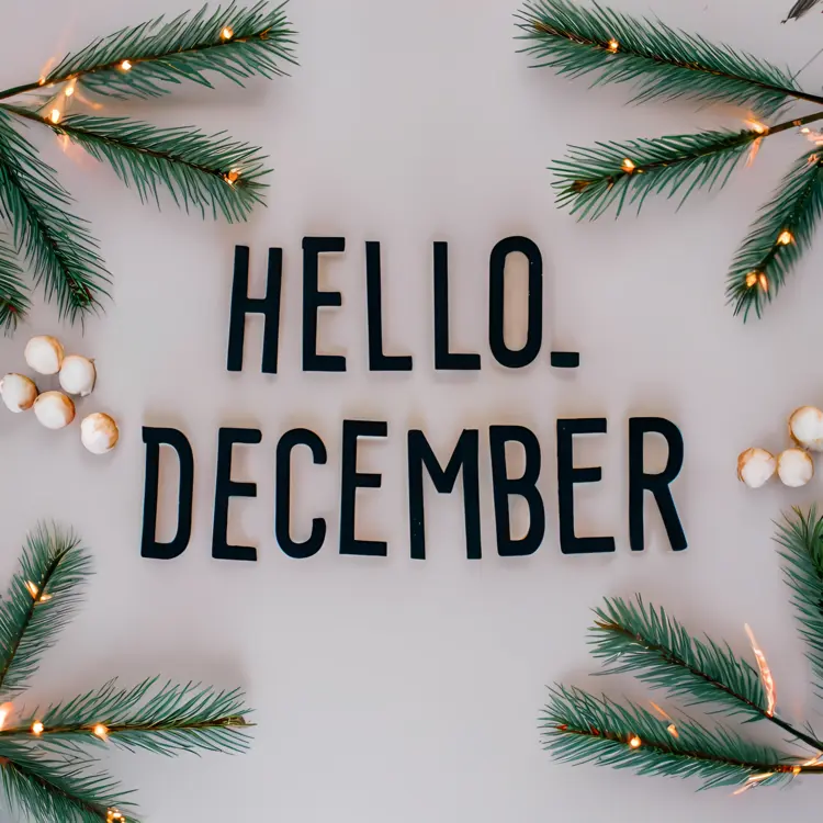 Hello December with Pine Branches