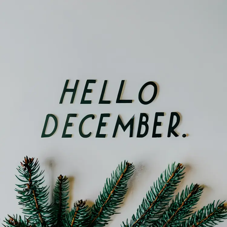 Hello December with Pine Branches on White Background