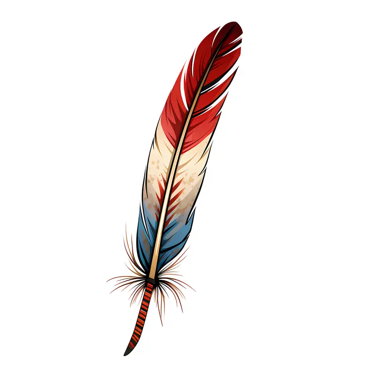 Red and Blue Feather Illustration