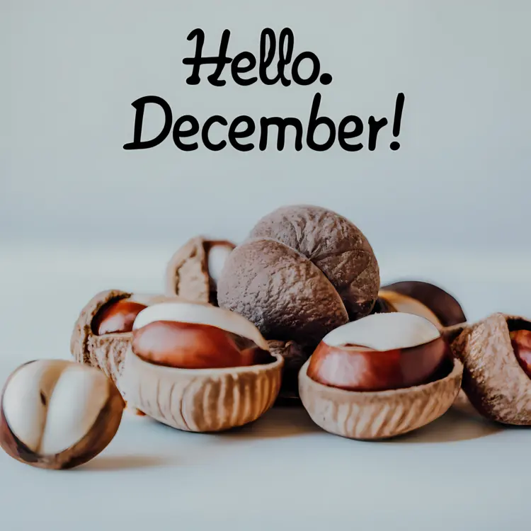 Hello December with Nuts