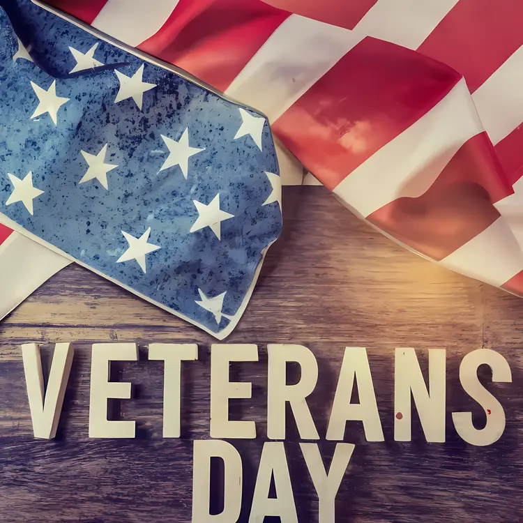 Veterans Day Poster with American Flag