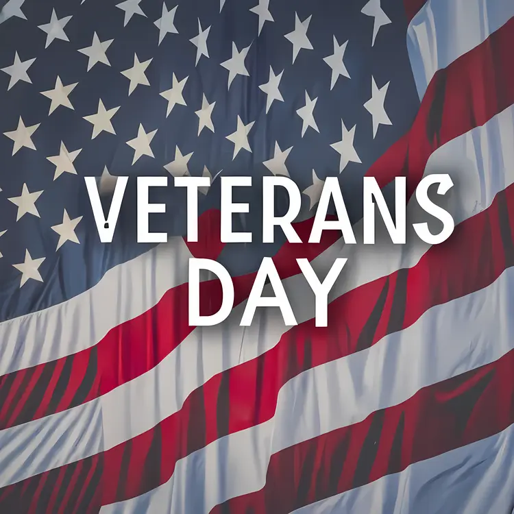 Veterans Day with American Flag