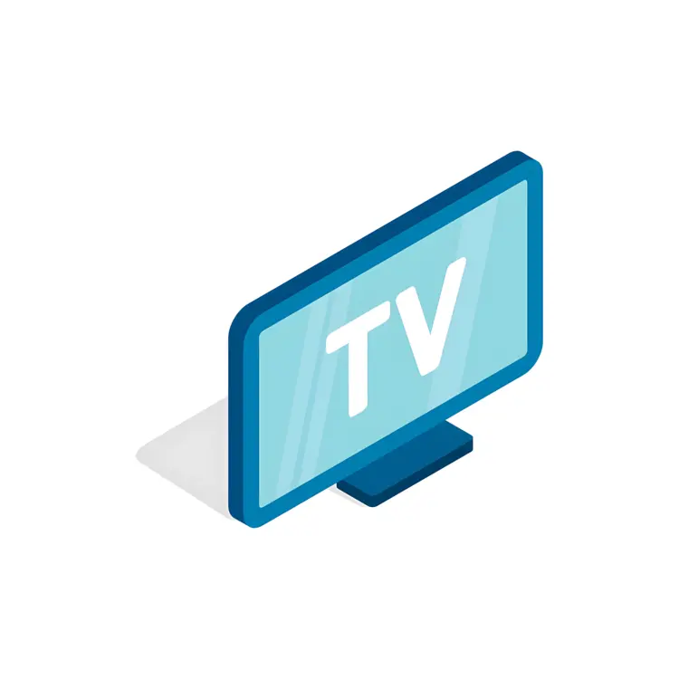 Modern Flat Screen TV