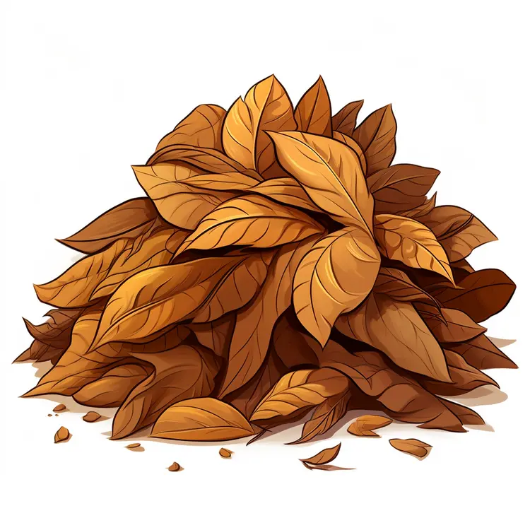 Pile of Brown Dried Leaves for Autumn Season