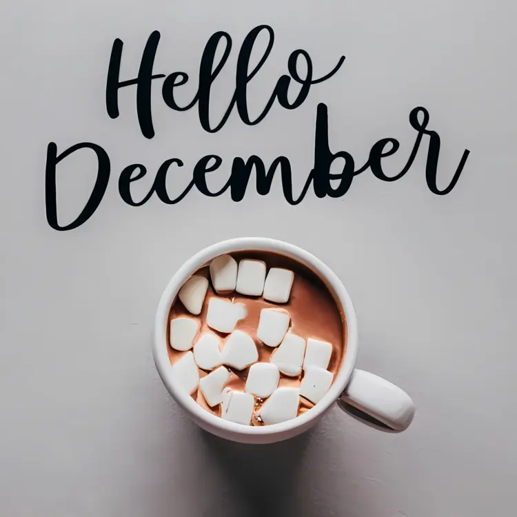 Hot Chocolate with Marshmallows
