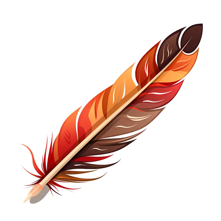 Colorful Feather Illustration