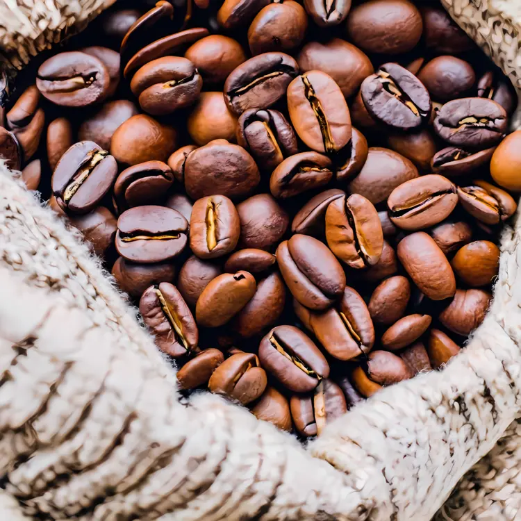 Fresh Coffee Beans in a Sack