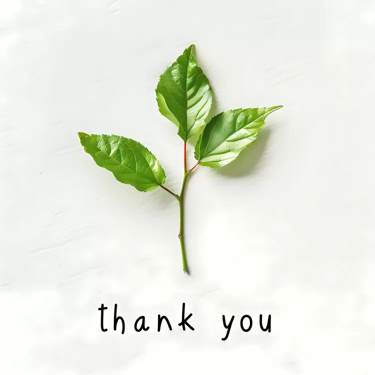 thankfulness acknowledgement thank you note recognition