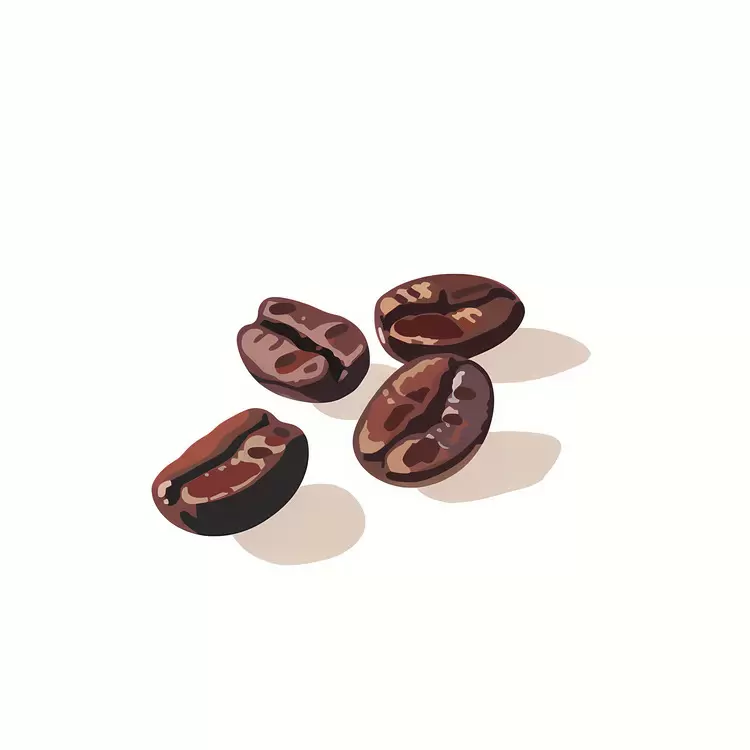 Filtered coffee Robusta coffee Espresso beans Coffee beans Arabica coffee