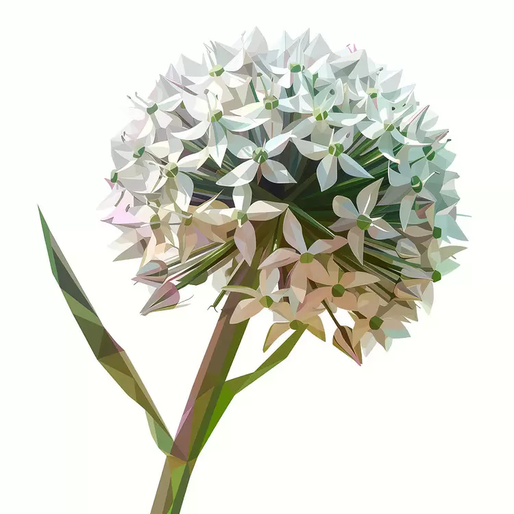 Flowers Elegant Bouquet Fragrant Gift
