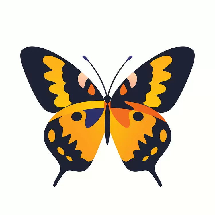 Textures Shapes Composition Vector Illustrations butterfly