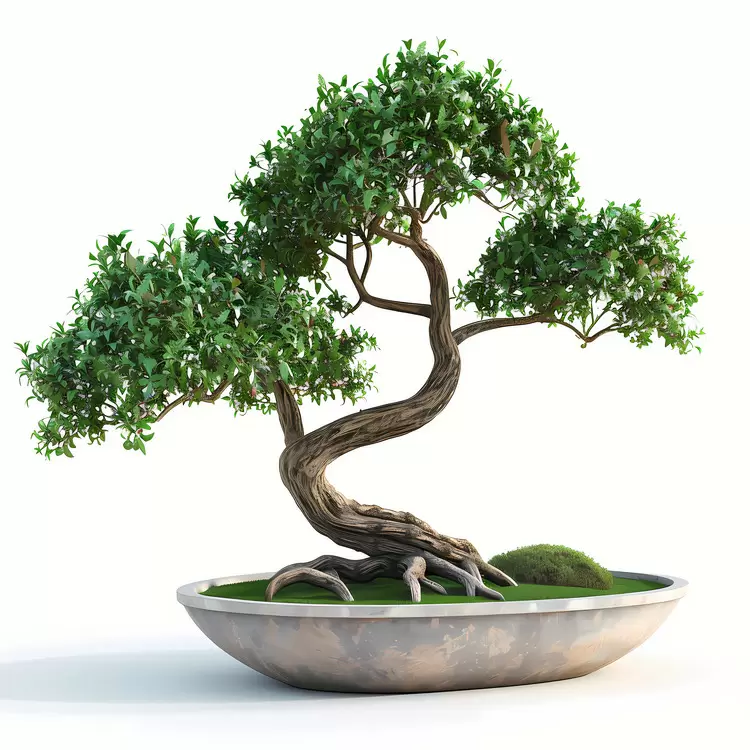 roots bonsai ground plants greenery