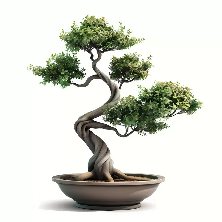 bonsai plant greenery organic pot tree