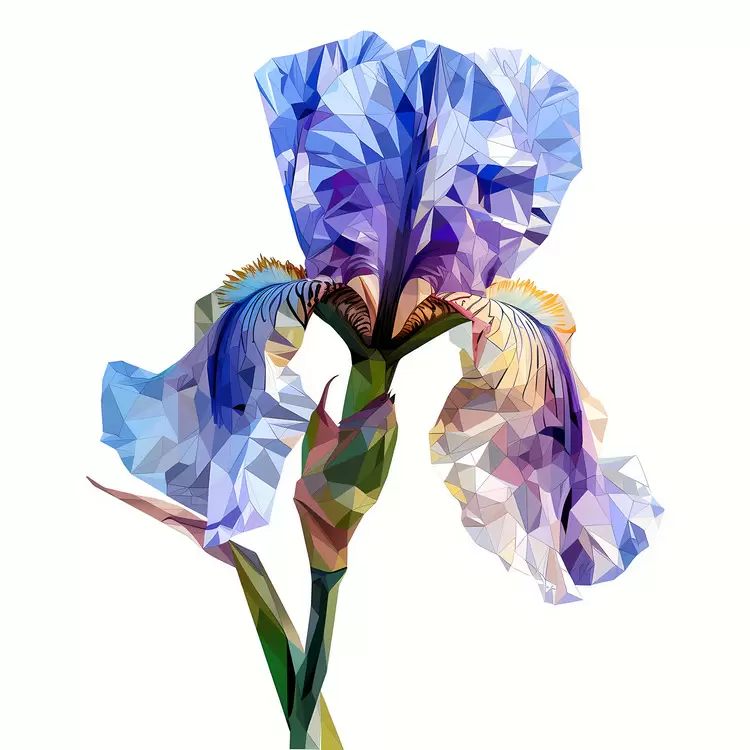 minimalist modern flower contemporary geometric
