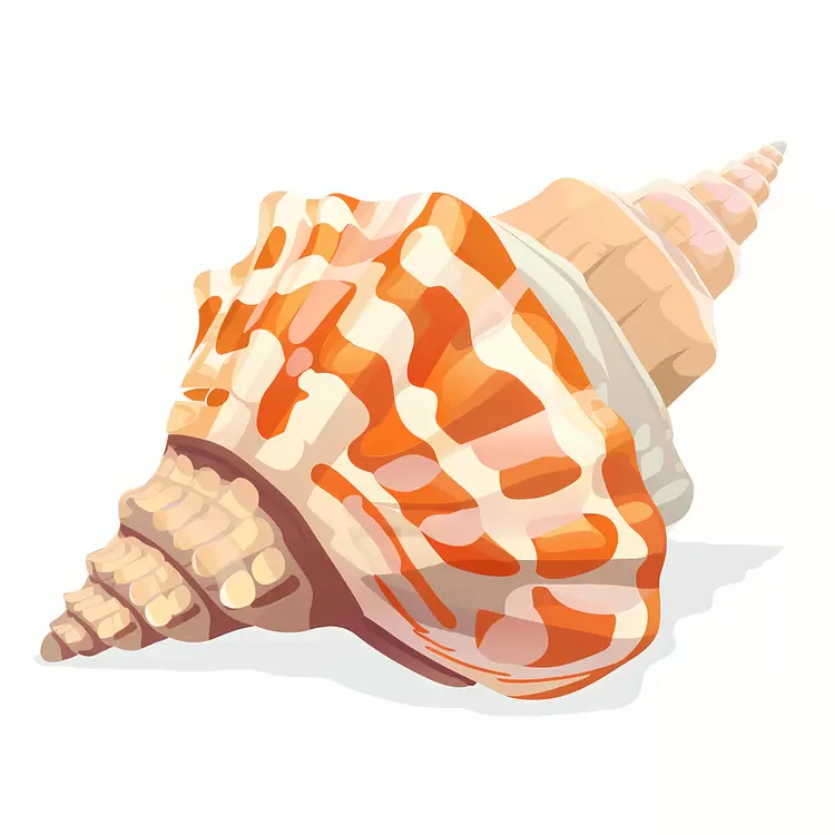 Seashell Orange Beige