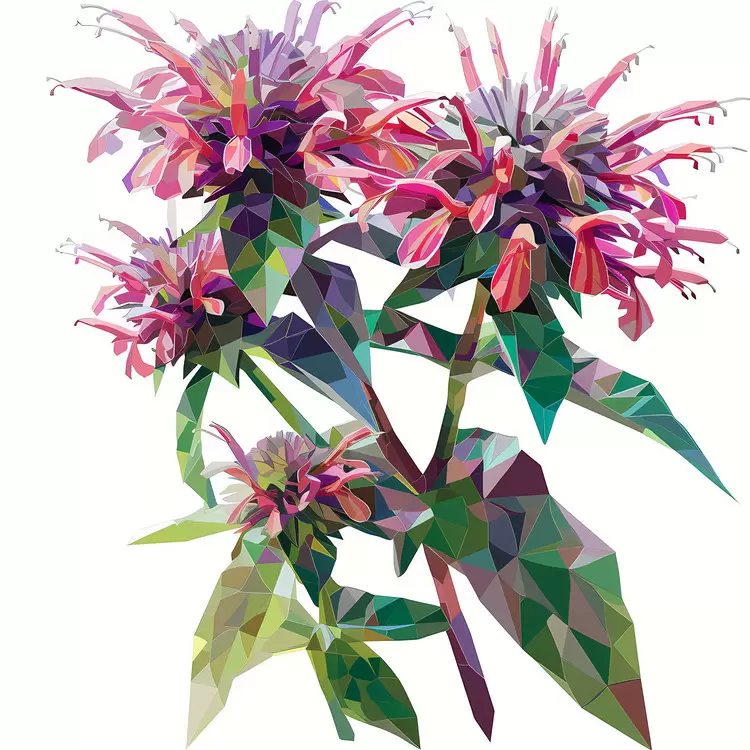 Colorful blooms Flowers Low poly