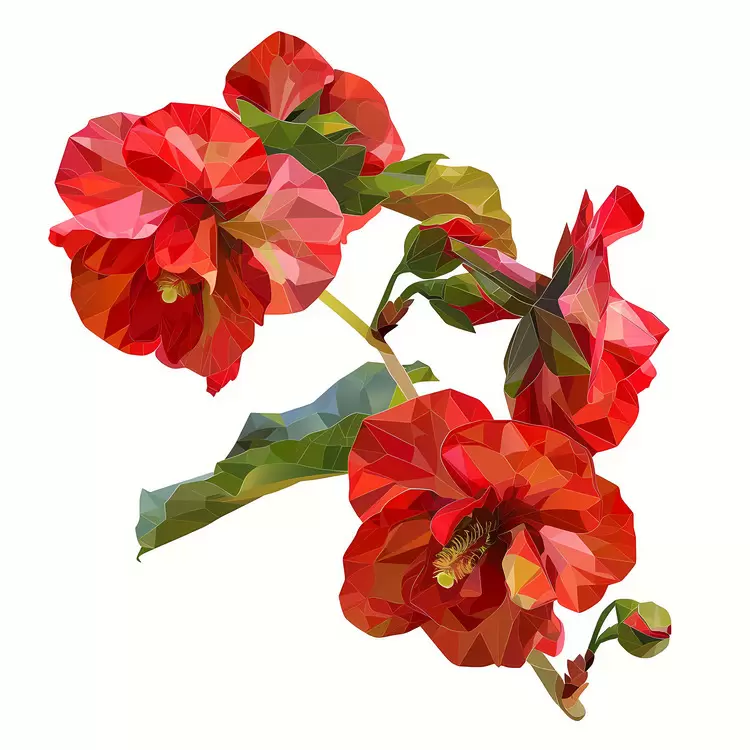 low poly minimalistic plants polygonal floral