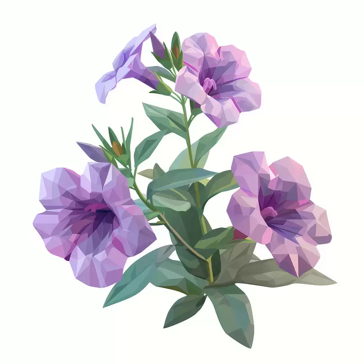 elegant flora pansy flowers low poly style posies wildflowers