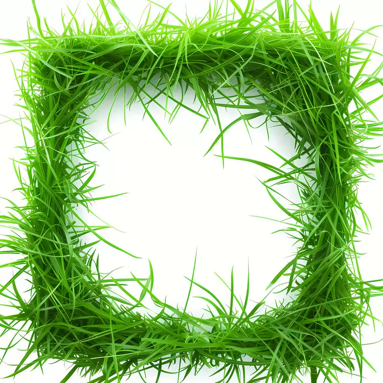 lawn greenery nature tree environmentally friendly