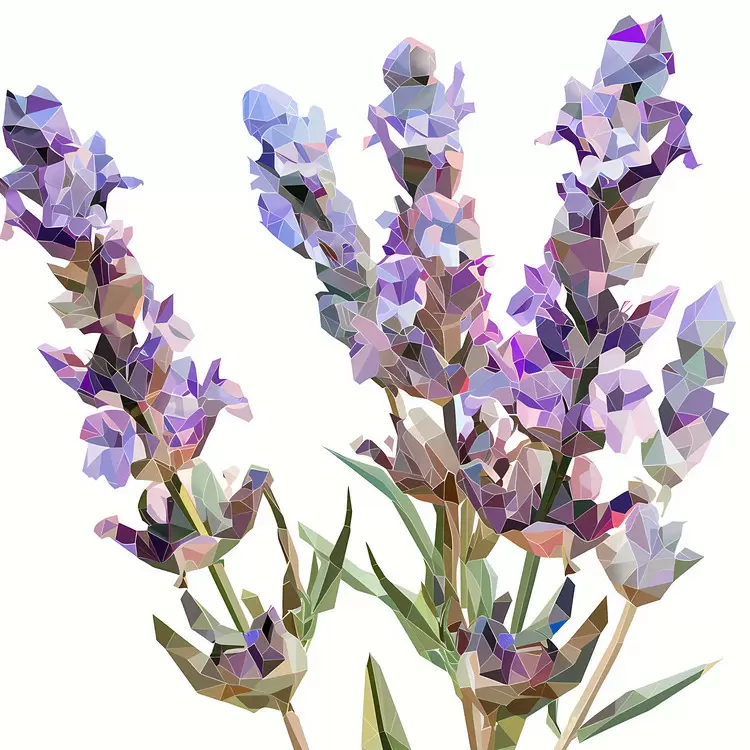 Flowers Soft Monochromatic Realistic