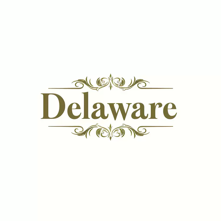 delaware logo typography