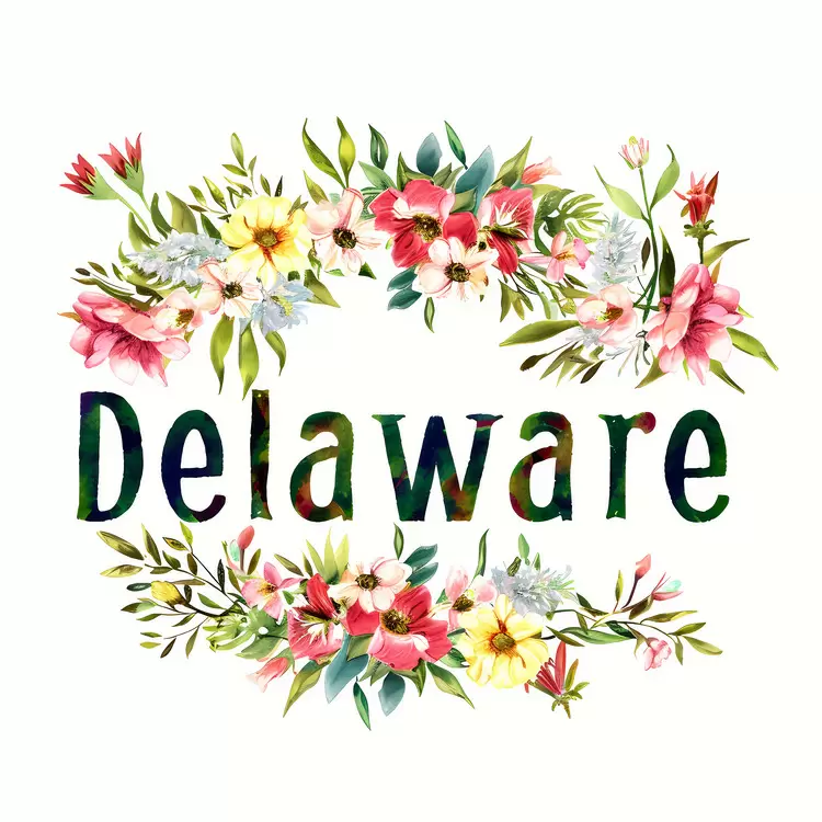 nature Delaware blooming plants state wildflowers