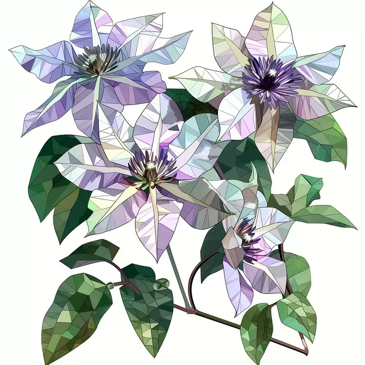 modern style watercolor flower minimalistic abstract