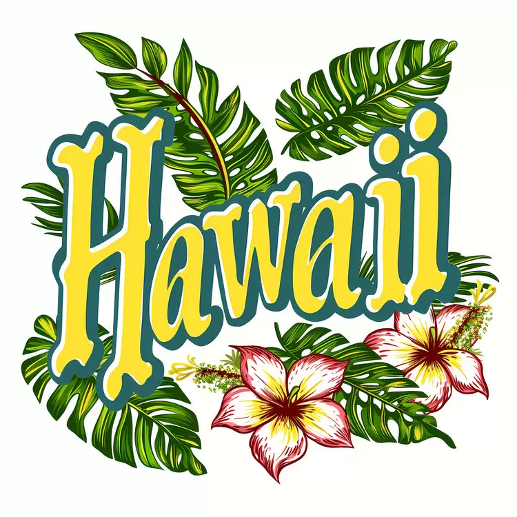 hawaiian hula vacation lei