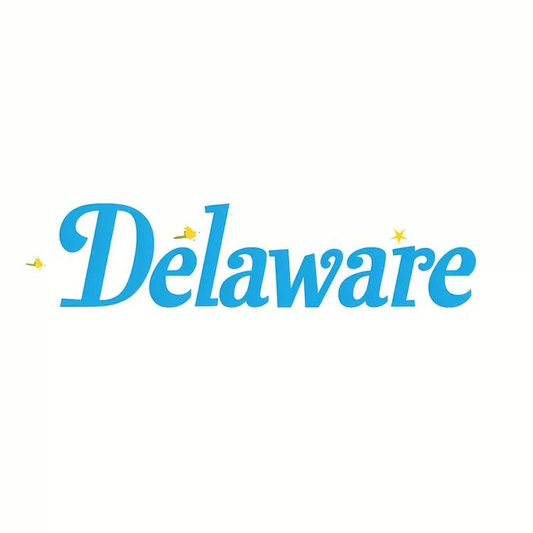 Sign for Delaware Wordmark for Delaware Blue lettering on a white background sign for a company Company name