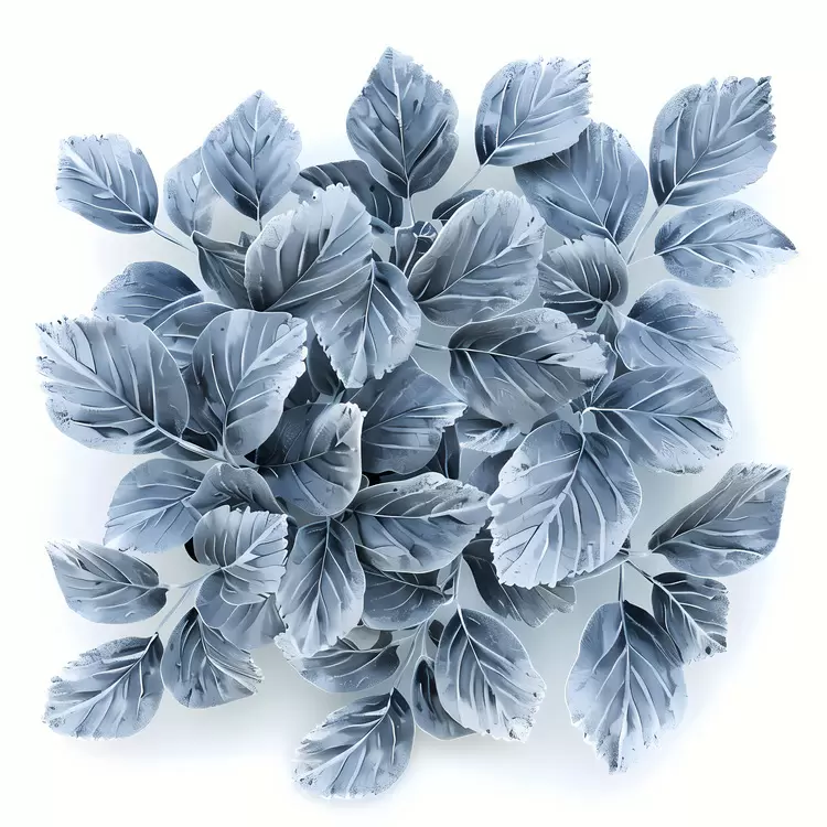 Flora Botanicals Nature Vegetation Leaves