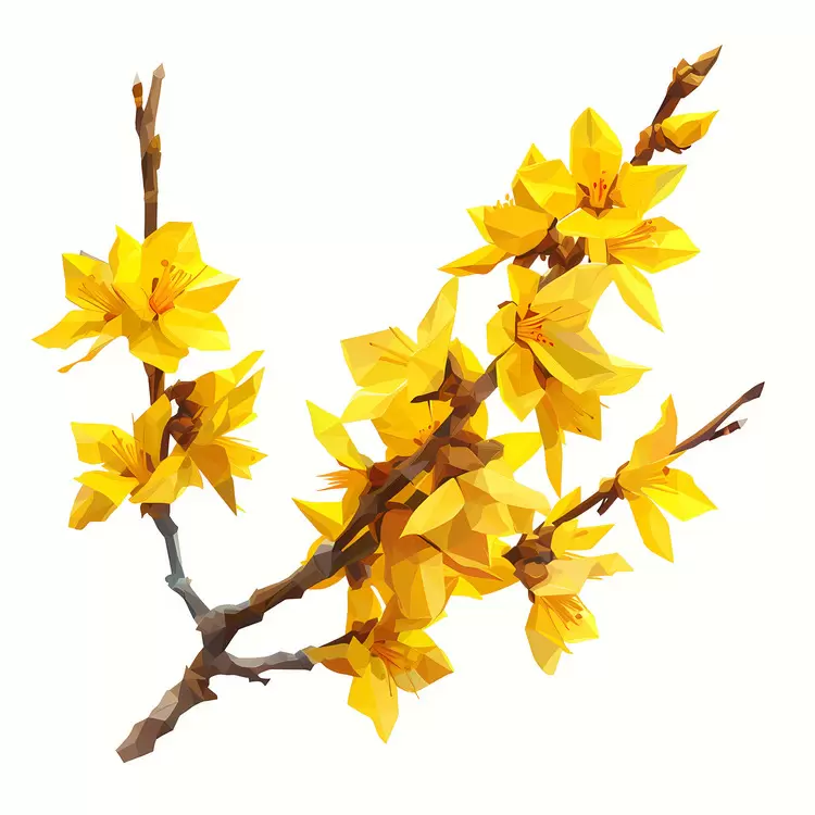 flowers petals white background spring branches