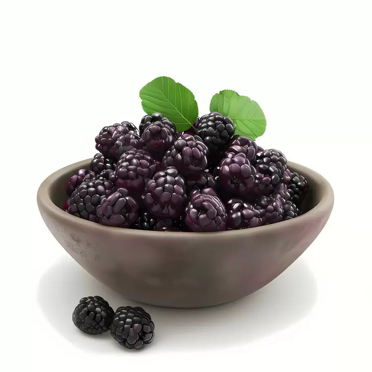 berry juicy fruit mulberries mouthwatering