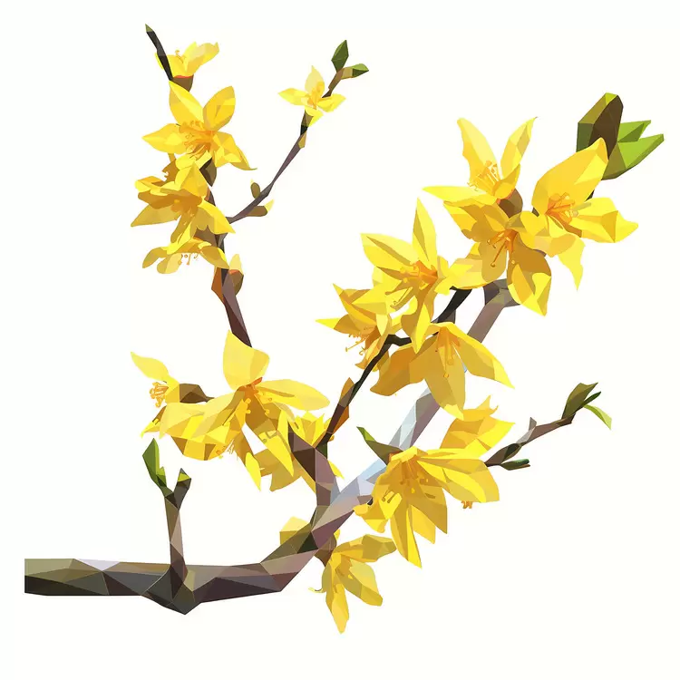 soft Vector flowers branch blossoms