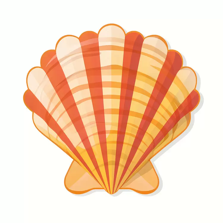 sea shell reddish watery yellow seashells