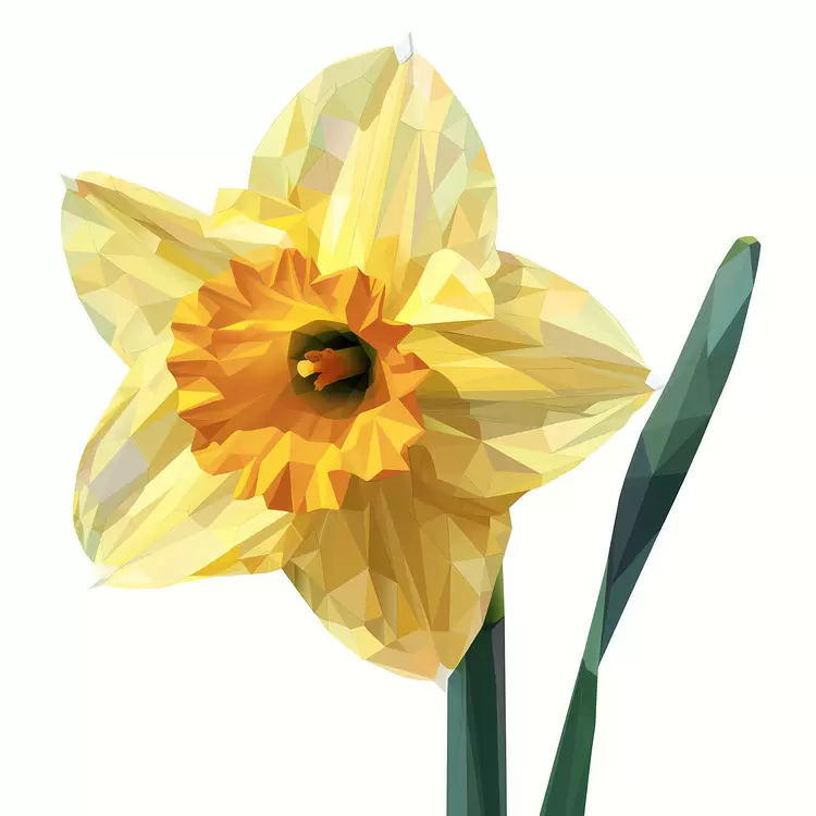 yellow flower daffodil tulip