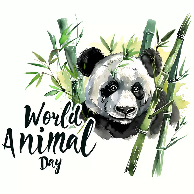 Chinese culture Panda cartoon character World animal day Panda habitat Bamboo forest