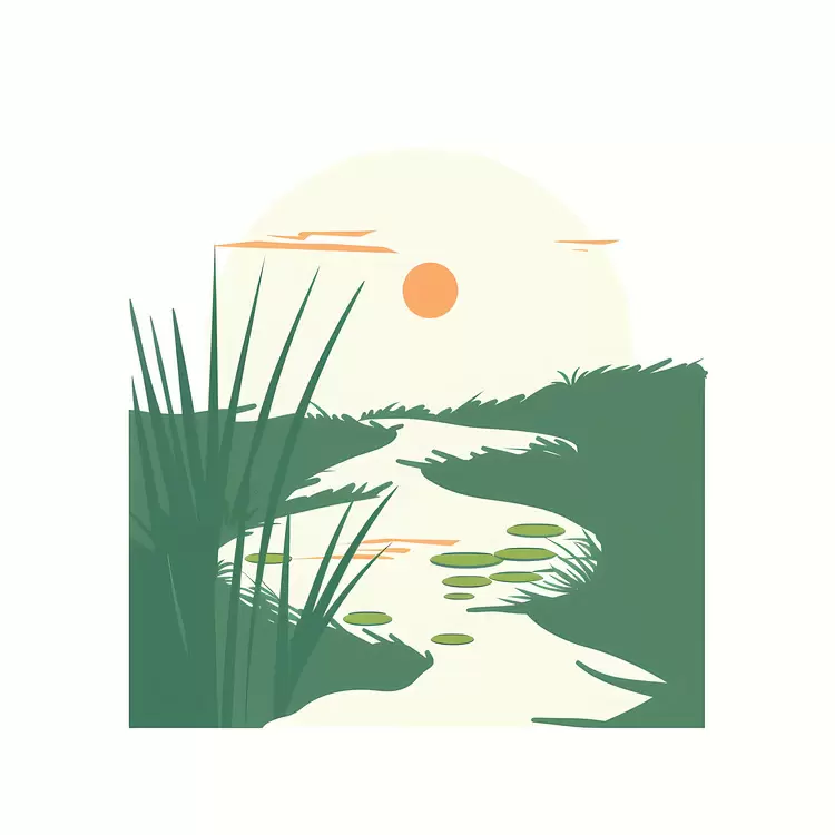 plants grasslands water sunset landscape