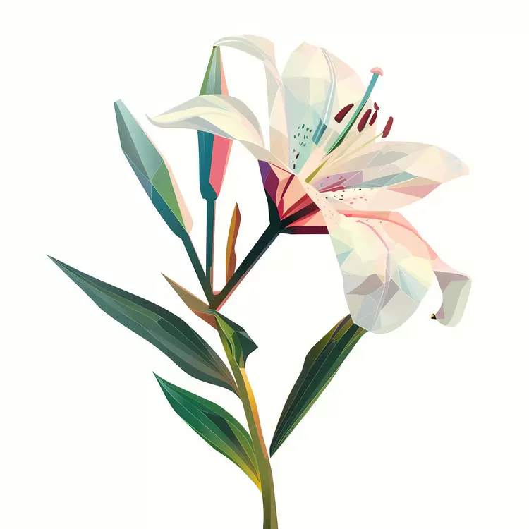 high contrast flower white petal natural