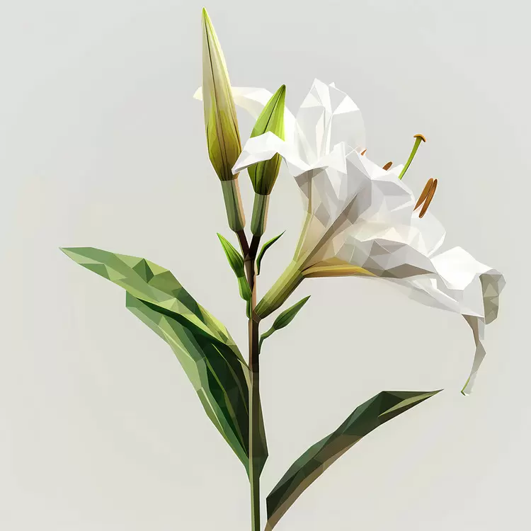 Reflective Lily White flower Sparse Low poly