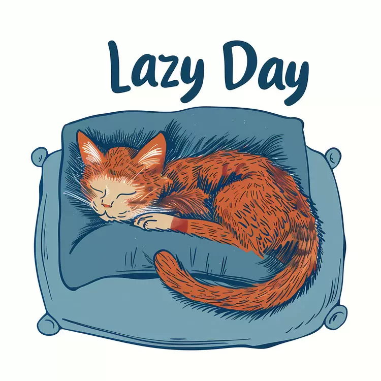 Lazy Day with a Cat on a Cushion