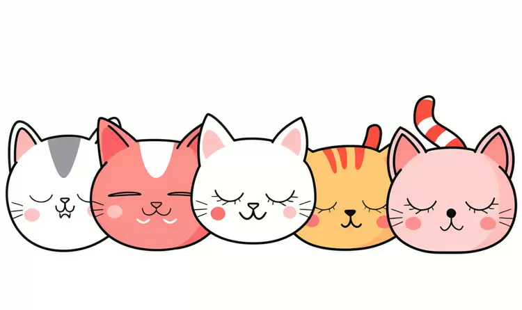 Cat Day with Sleeping Cats