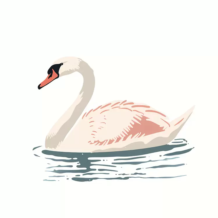 Swan in Tranquil Waters