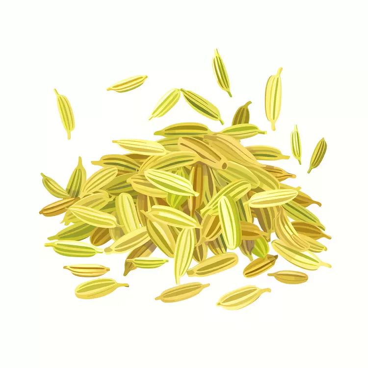 Pile of Fennel Seeds