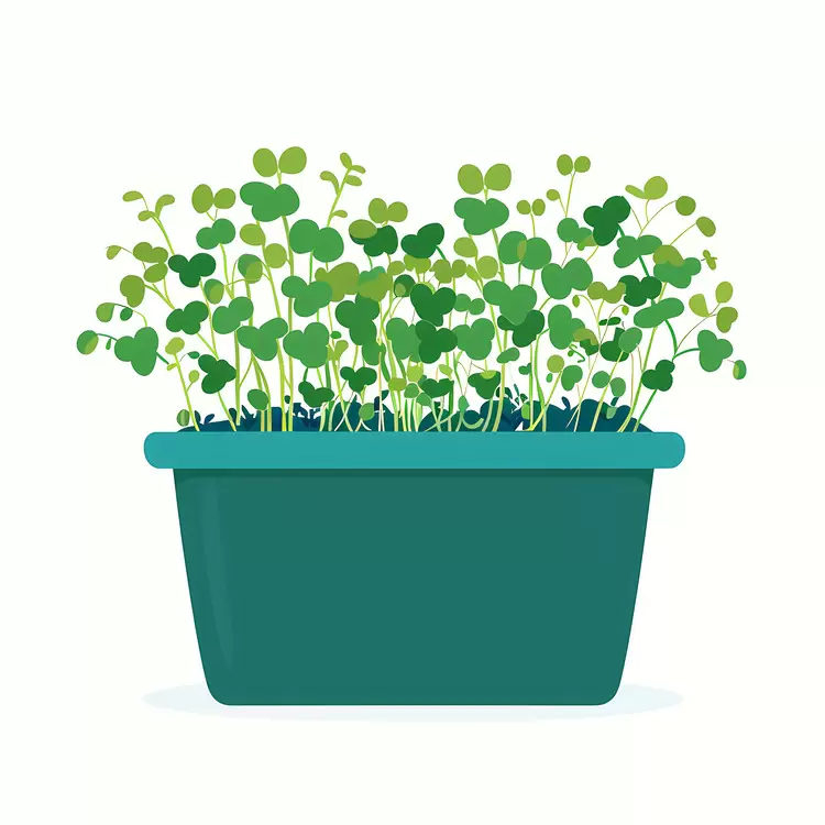 Green Potted Plant in Rectangular Pot