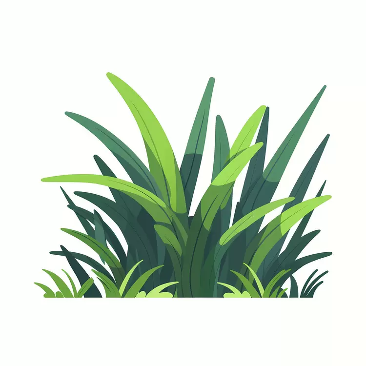 Lush Green Grass Illustration