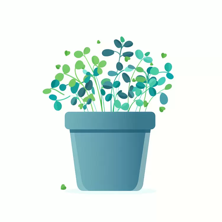 Green Potted Plant in Blue Pot