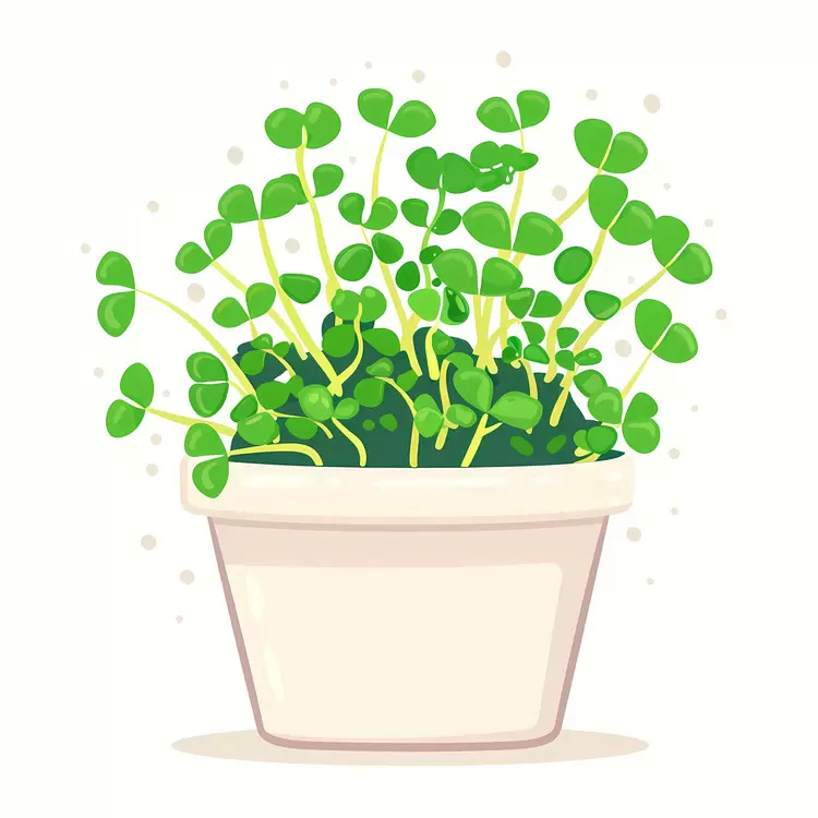 Cute Green Plant in a Beige Pot