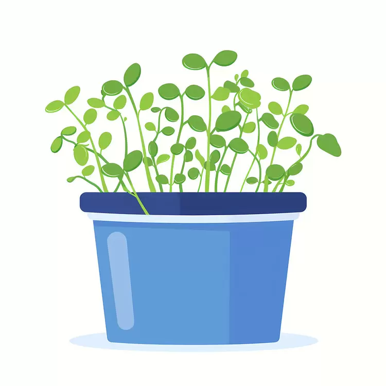 Vibrant Potted Plant in Blue Pot