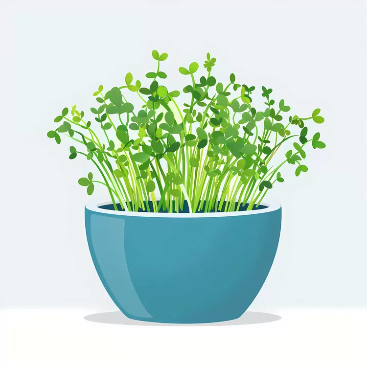 Green Potted Plant in Round Pot