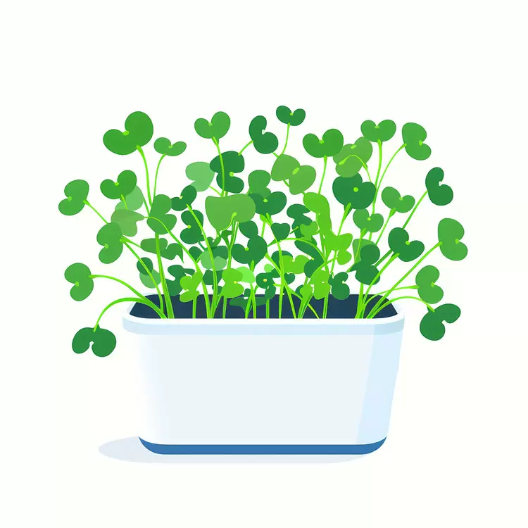 Lush Green Plant in a Blue Container